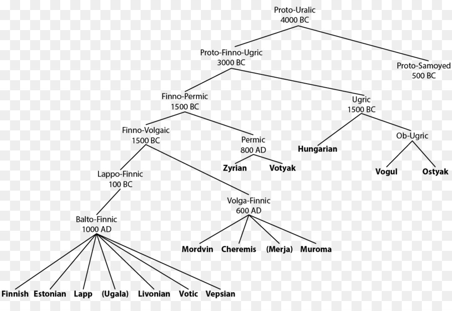 Uralic lingue ungherese famiglia di Lingua finlandese - ramo di albero