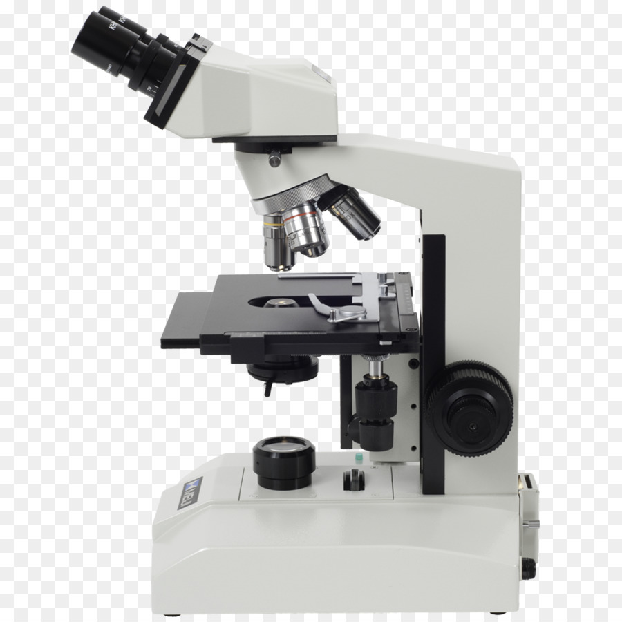 Microscope Cartoon png download - 1000*1000 - Free Transparent Light png  Download. - CleanPNG / KissPNG