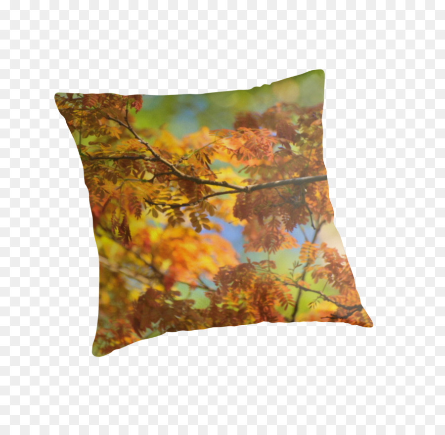 Cuscini Cuscino Marrone - i colori dell'autunno