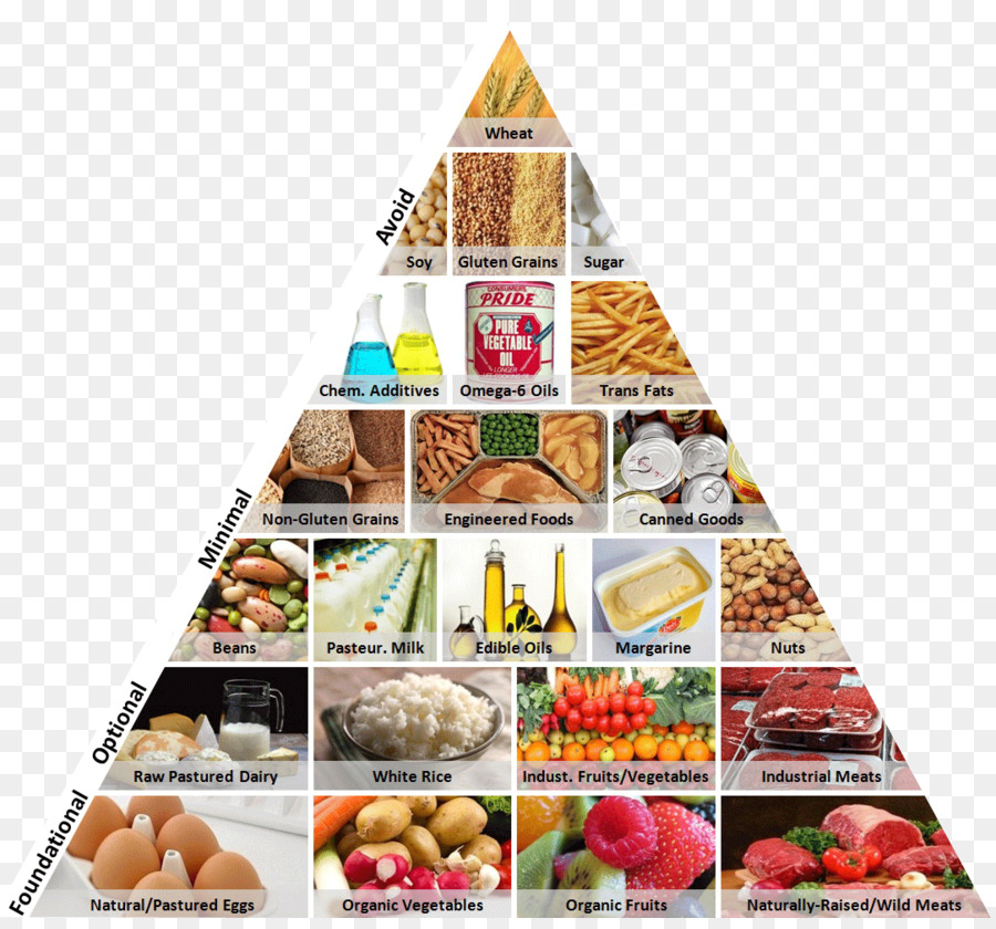 Piramide alimentare Food group Health Western modello di dieta - Piramide alimentare