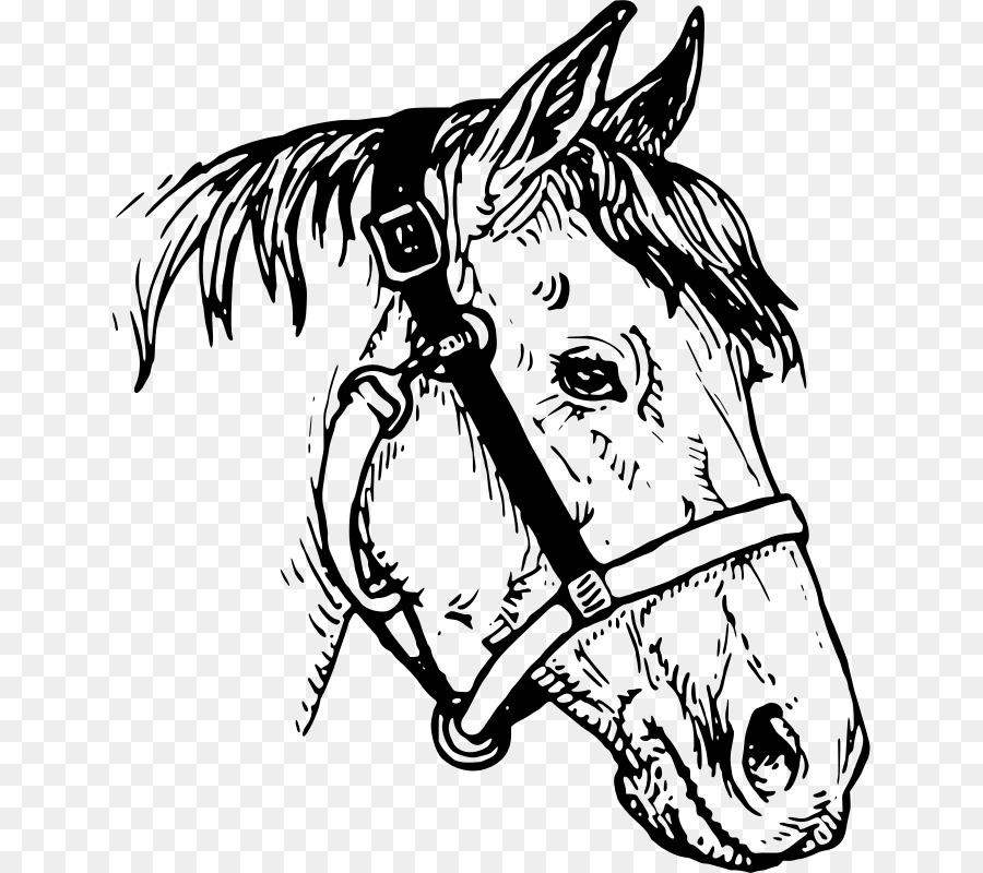 Con ngựa Vẽ Clip nghệ thuật - chiến mã