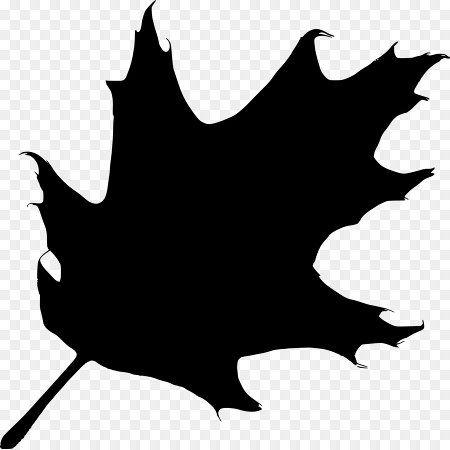 Silhouette Eiche leaf Clip Art - Eiche