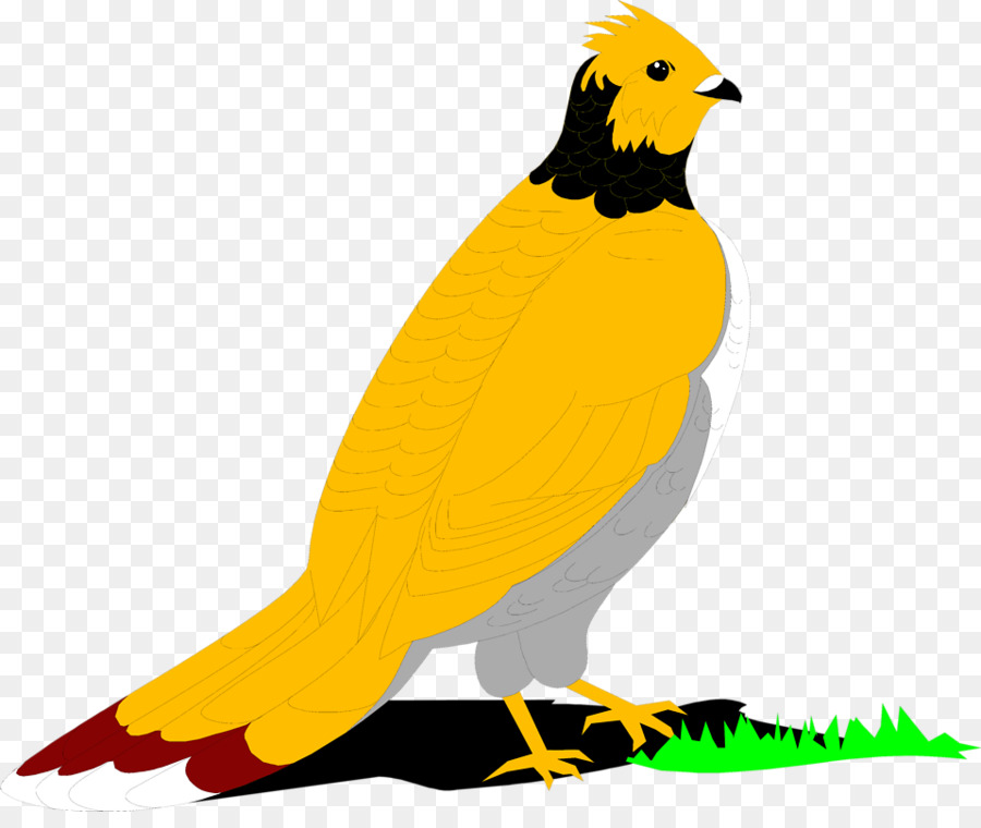 Vogel Ruffed grouse English Setter Clip-art - kleine gelbe Vogel
