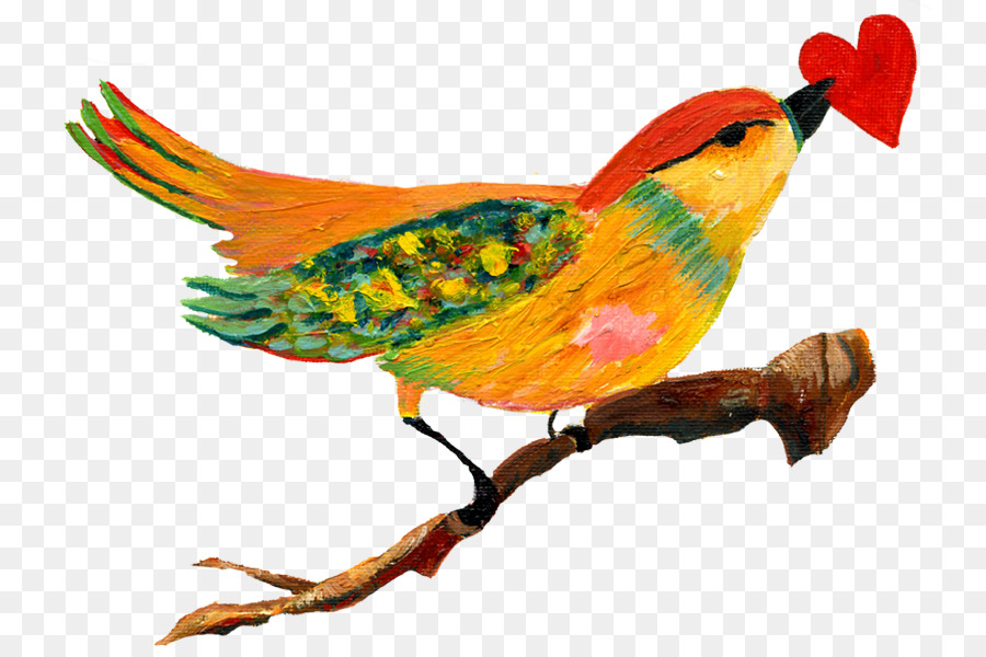 Uccello anatomia Cuore Piuma Becco - birdcage e il cuore dell'albero