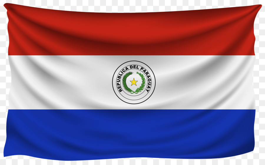 Bandiera del Paraguay Bandiera del Paraguay T-shirt Font - avvizzito