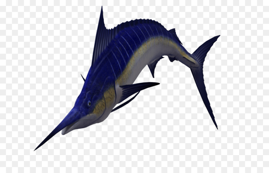 Sailfish Atlantic blue marlin Clip art - Pesce spada