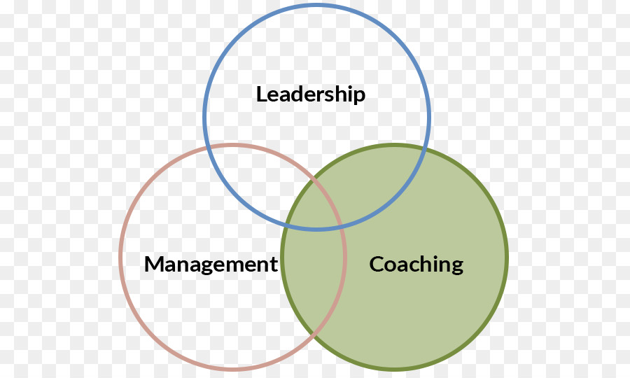 Coaching-Betreuung-Organisation Human resource management - versuchen