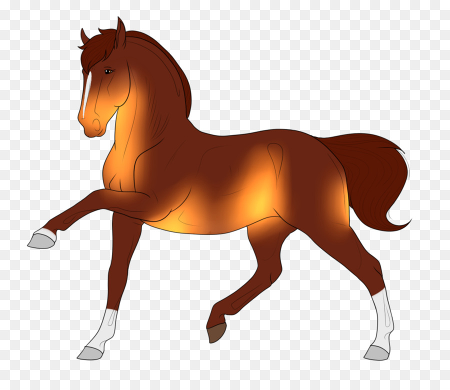 Stallone Puledro Di Pony Mare Colt - luminescenti
