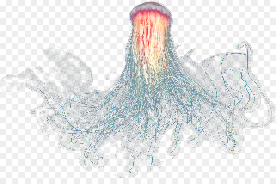 Medusa Mare Oceanico zona - pappa
