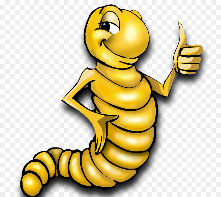 Larva Cartoon png download - 798*800 - Free Transparent Insect png  Download. - CleanPNG / KissPNG