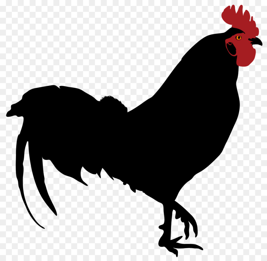 Rooster Bóng Gà Clip nghệ thuật - con gà trống