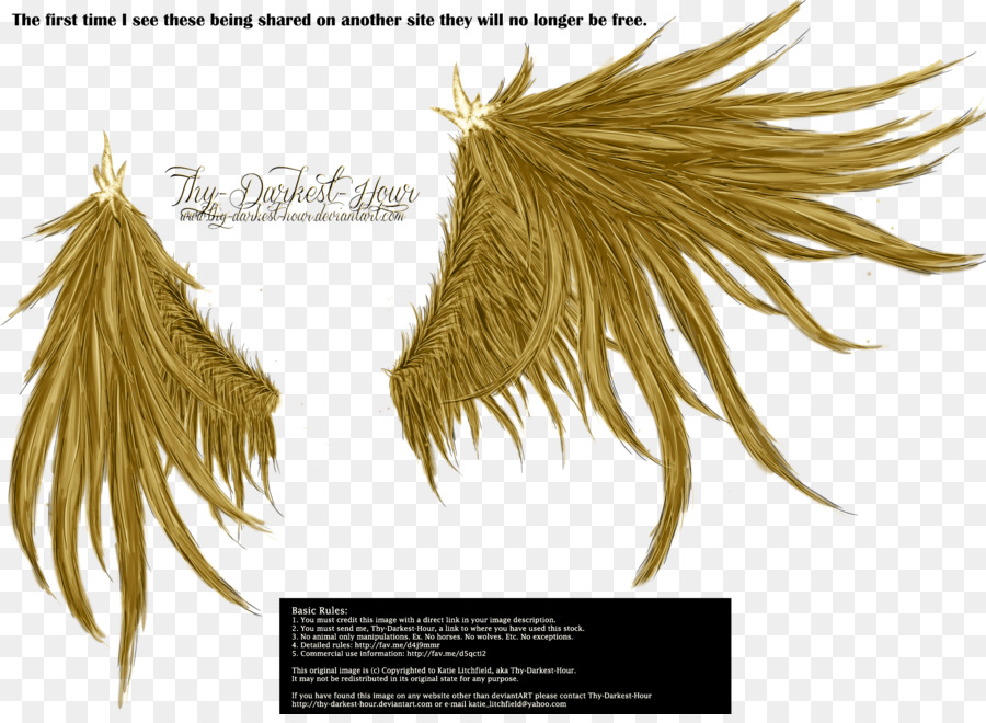 Scarica Wing Clip art - ali d'oro