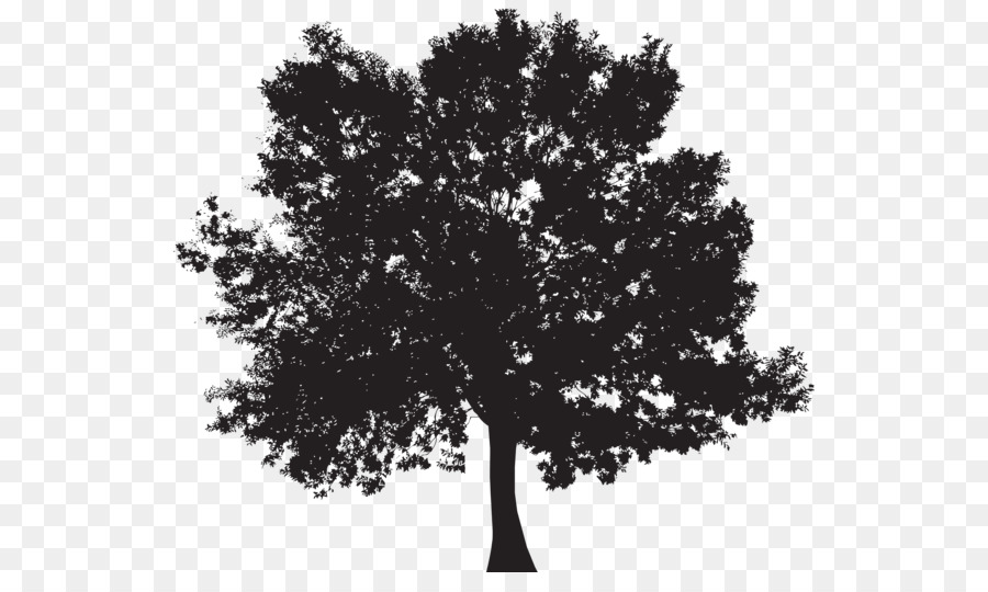 Baum Silhouette clipart - Herbst clipart