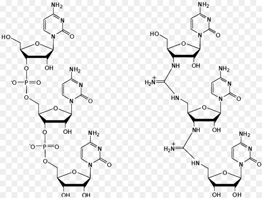 Vẽ /m/02csf Sắc vòng Tròn - axit ribonucleic