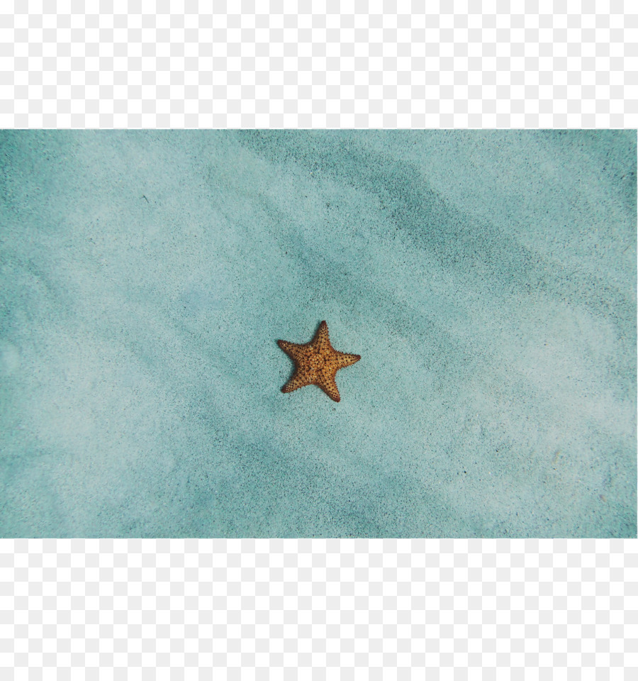 Starfish azzurro del Cielo plc - frameless pittura