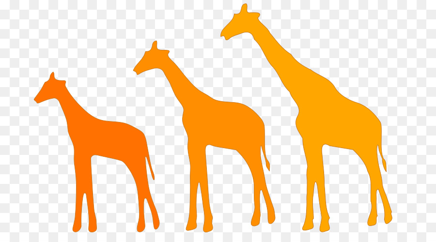Giraffe Lamarckism Evolution Darwinismus Natürliche Selektion - Giraffen