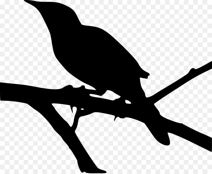 To Kill a Mockingbird Northern mockingbird Clip art - Baum Silouhette