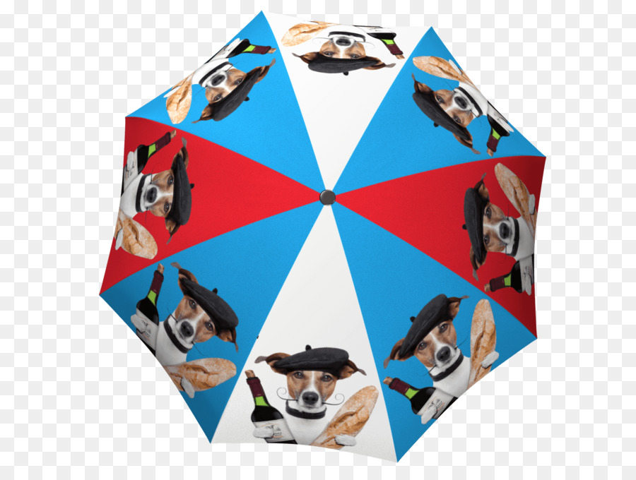 La Bella Umbrella Geschenk shop - kreative Regenschirm