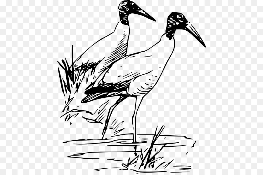 Uccello di Legno cicogna ibis Scarlatto Clip art - filo di vettore