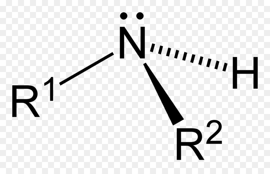 Amine Funzionale gruppo Sostituente Ammide Alchil - vettore primario