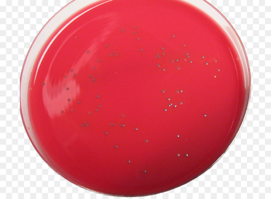 2011 Stati Uniti epidemia di listeriosi Listeria monocytogenes Batteri mononucleosi Infettiva - cartoon patogeno