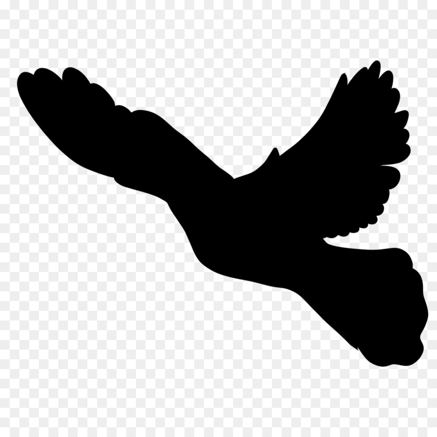 Dito Silhouette Becco a Scarpa Clip art - uccello silhouette