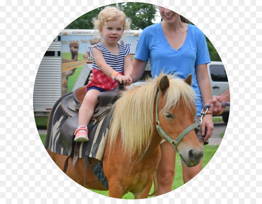 Mane giro in Pony Halter Mustang - perfetto infanzia estate privilegio