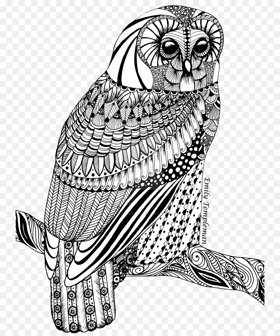 Tawny owl Zeichnen Linie Kunst - Eule Muster
