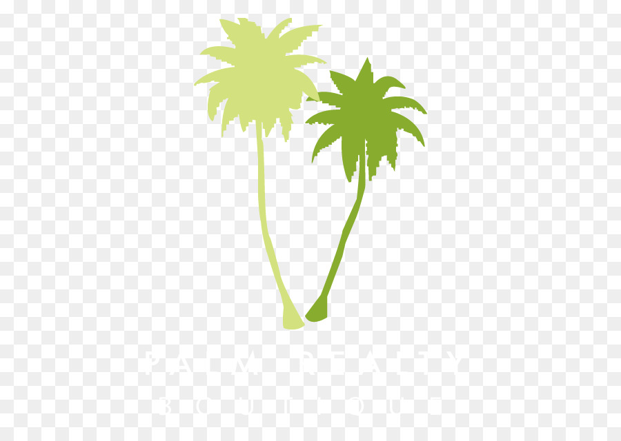 Tad Thormodsgaard - Palm Realty Boutique-Immobilien-Palm-öl-Arecaceae - Kokosnuss Baum Fotos
