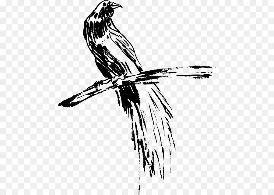 Con chim Ưng Lông Cánh Dòng nghệ thuật - màu lông nền