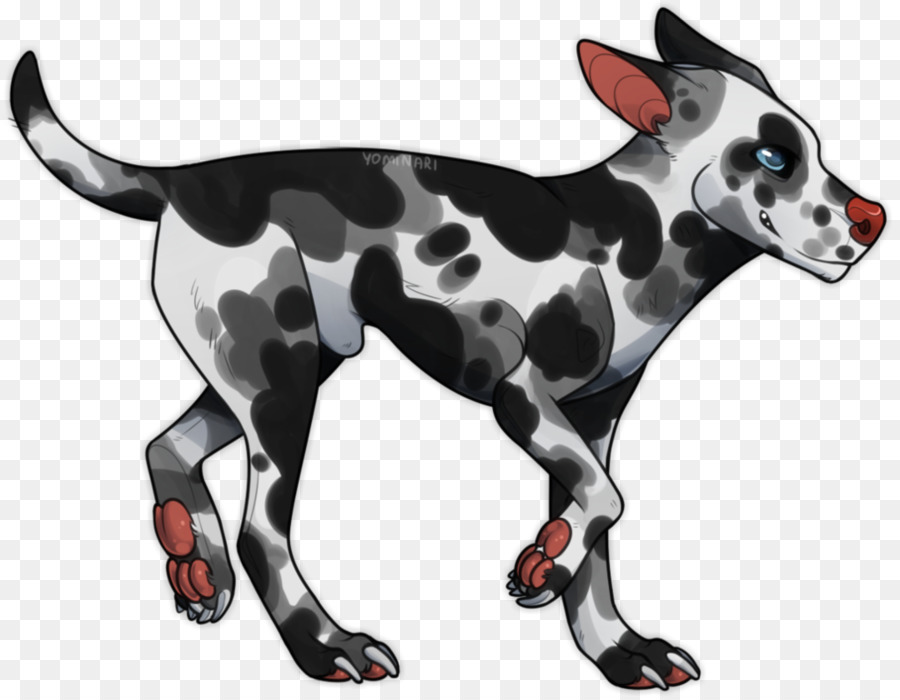 Dalmatiner Hund Hunderasse Nicht-sportliche Gruppe Schwanz - sanfte