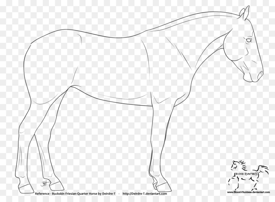 Mule American Quarter Horse Fohlen Mustang Friesen - kritzeln