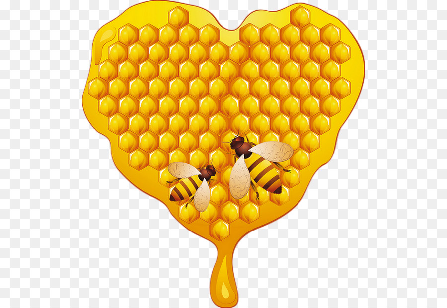 Ong mật Ong - mật ong