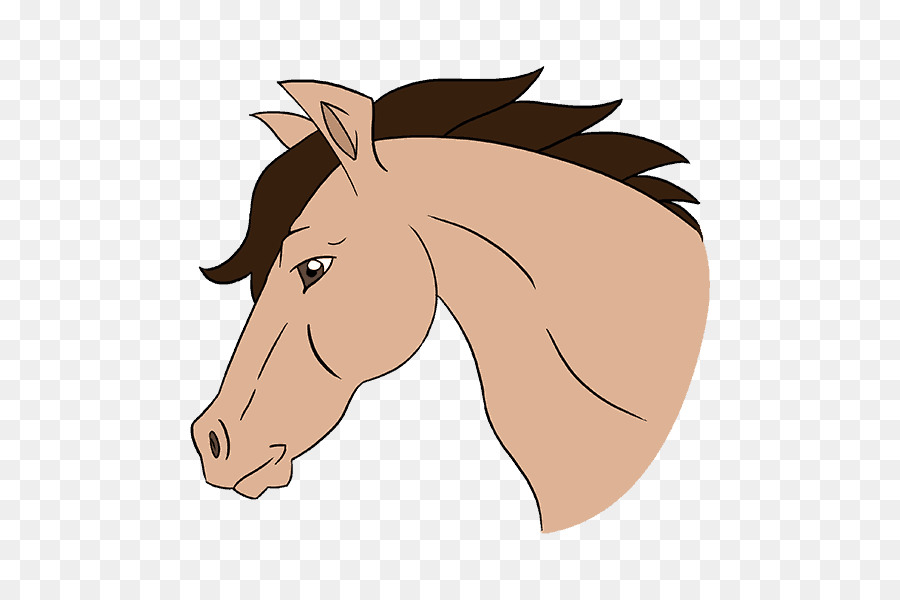 Mustang Ngô làm thế Nào để Vẽ một con Ngựa Vẽ Phác thảo - học sinh, công chúa
