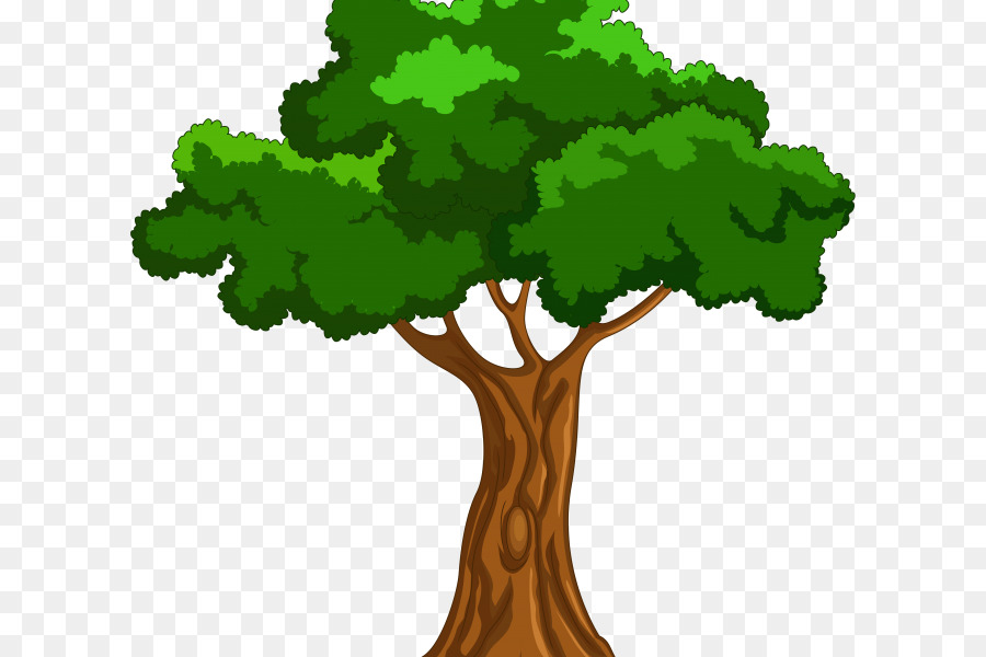 30 Trend Terbaru Gambar  Animasi Pohon  Png Amanda T Ayala
