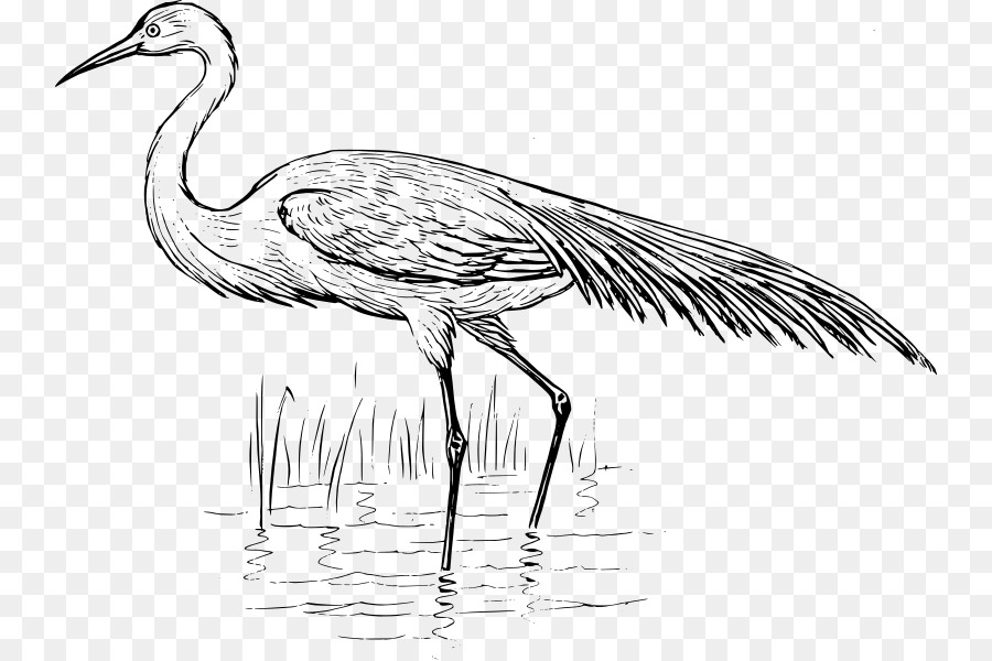 Heron Vogel Kranich Reiher Clip-art - egret solar Begriff