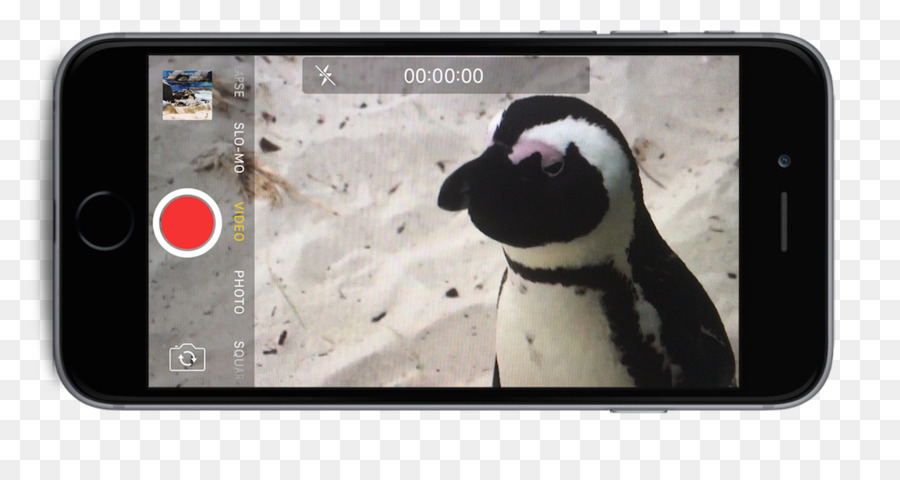 iPhone Smartphone di messaggistica di Testo Video - avvicinamento