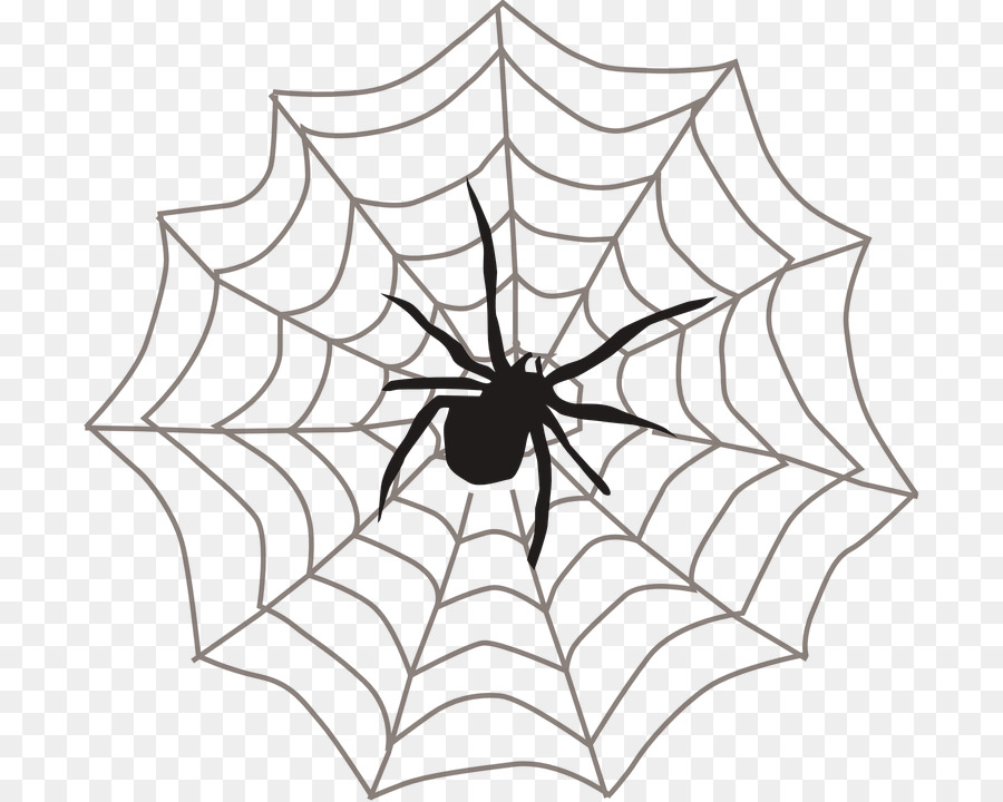 Spider Web Clip Art - Spinne