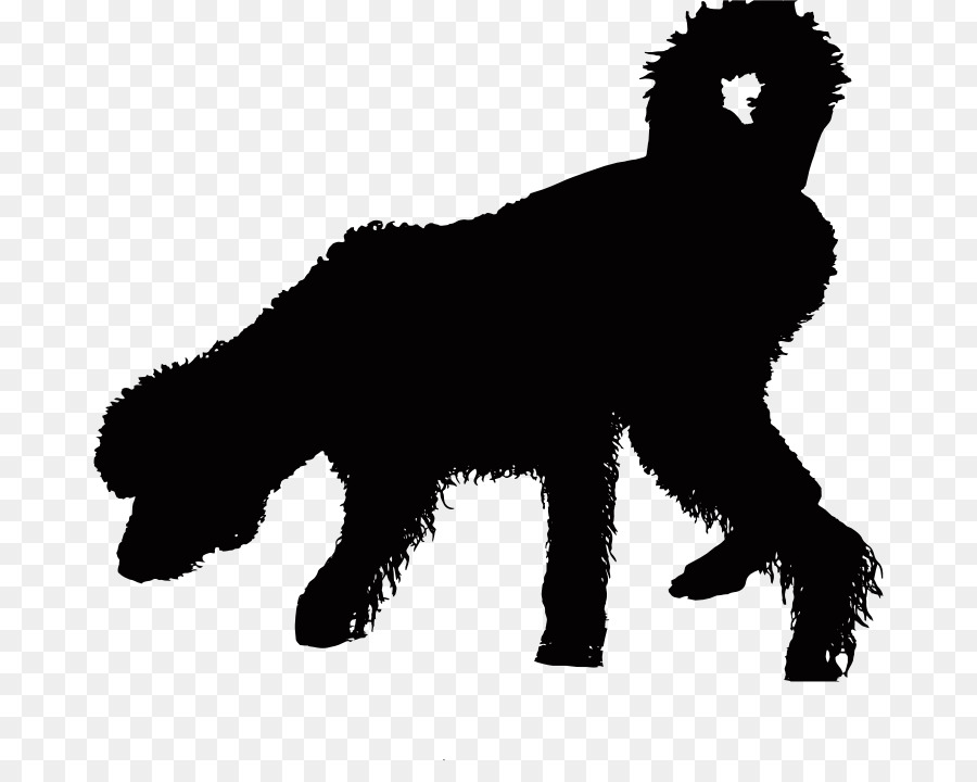 Old English Sheepdog Welpen portugiesischer Wasserhund-clipart - Hunde