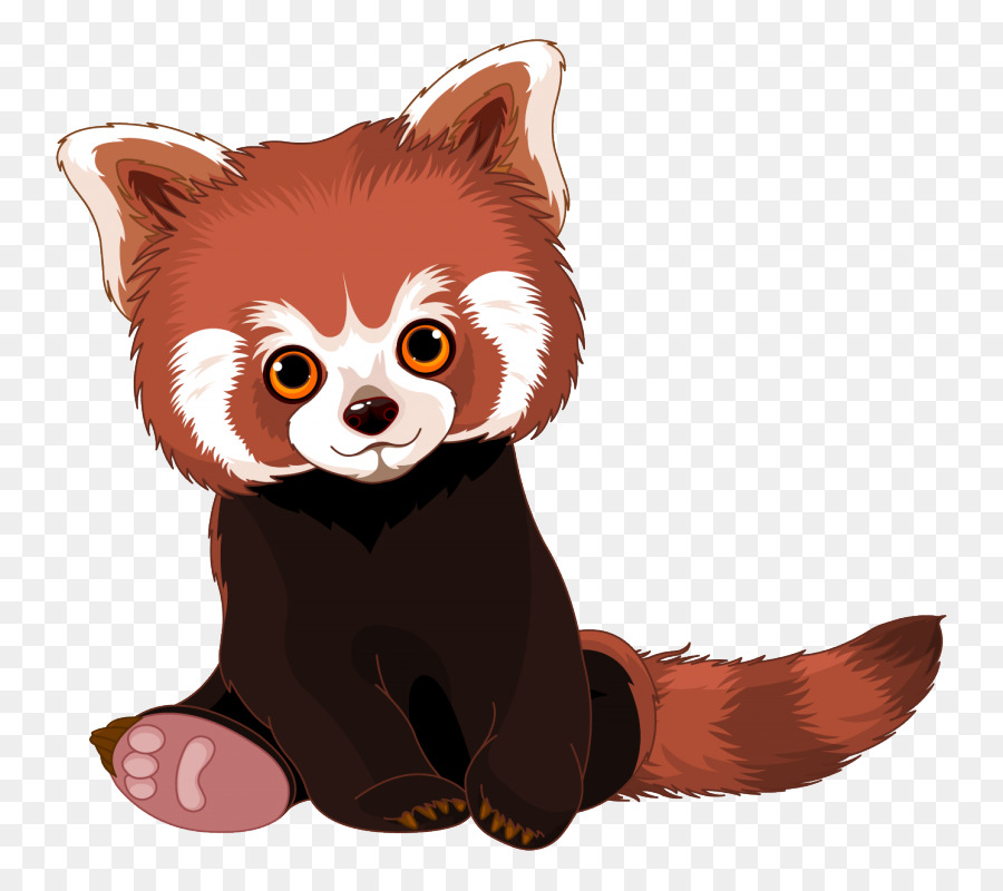 Red panda panda Royalty free - andere