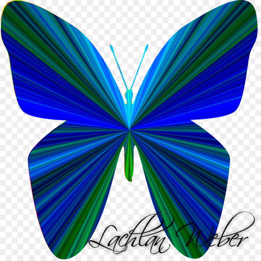 Farfalla di coda forcuta Papilio blumei Papilio macaone Amazon.com - creativo digitale