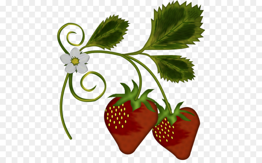 Erdbeerbaum Amorodo Clip-art - Erdbeer Illustration