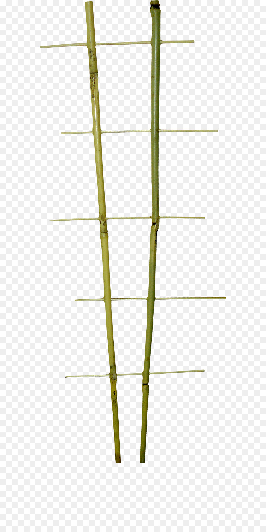 Bambus-Line Winkel - übersät