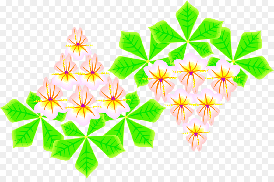 Blütenblatt Floral-design-Linie Symmetrie Blatt - Stauden