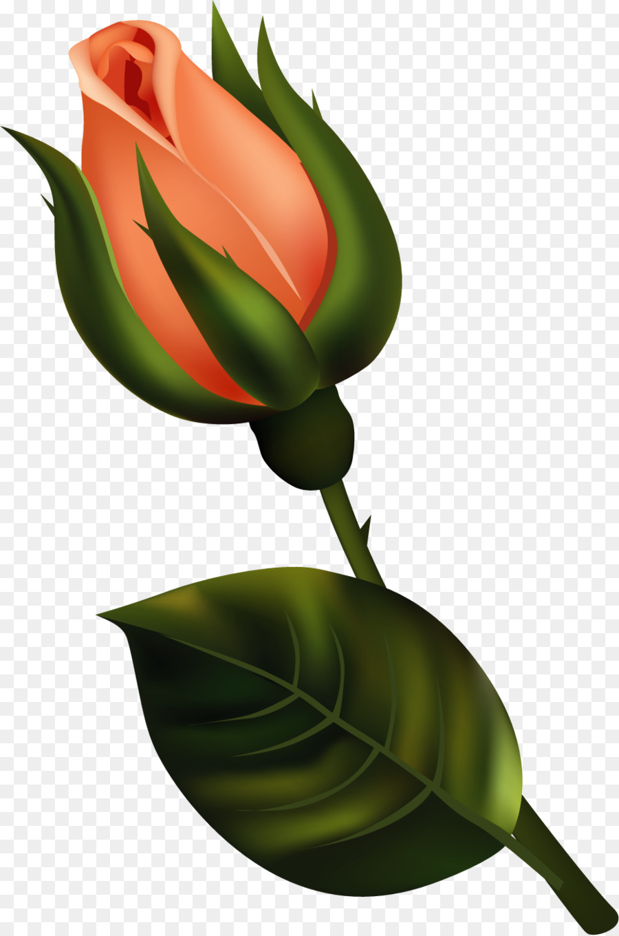 Knospe Blume clipart - andere