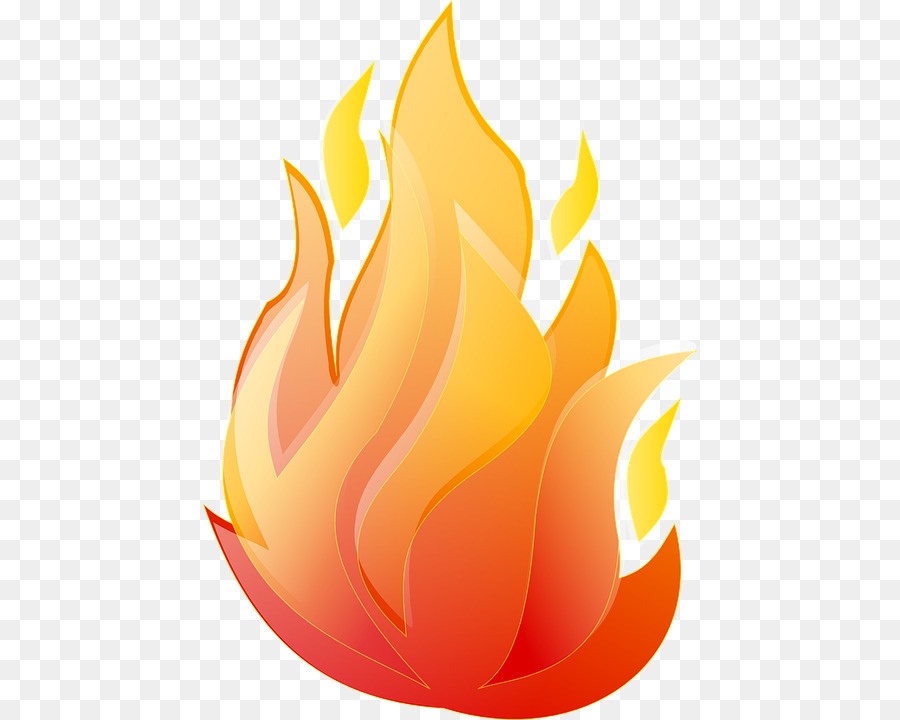 Fire Flame png download - 494*720 - Free Transparent Flame png Download. -  CleanPNG / KissPNG