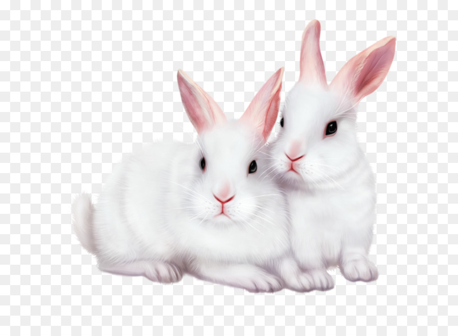 Kaninchen Bildbearbeitung clipart - Kaninchen