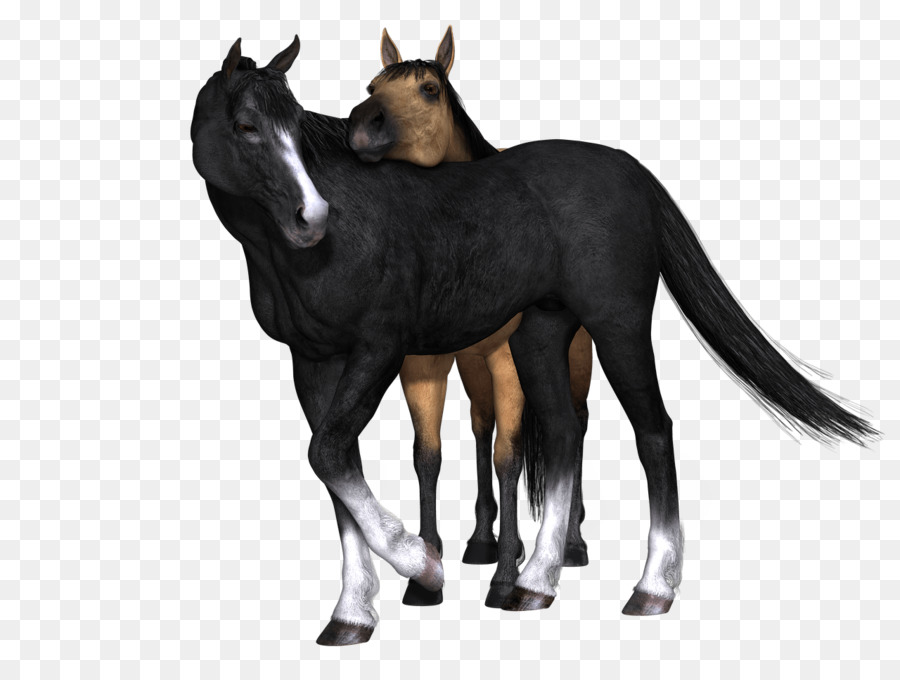 Puledro Mustang manipolazione di Foto Clip art - gli amanti degli animali