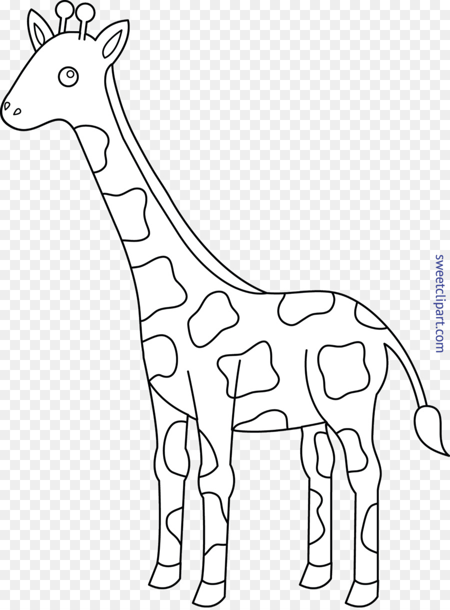 Libro da colorare Bambino Carineria Adulti giraffa Reticolata - bambino