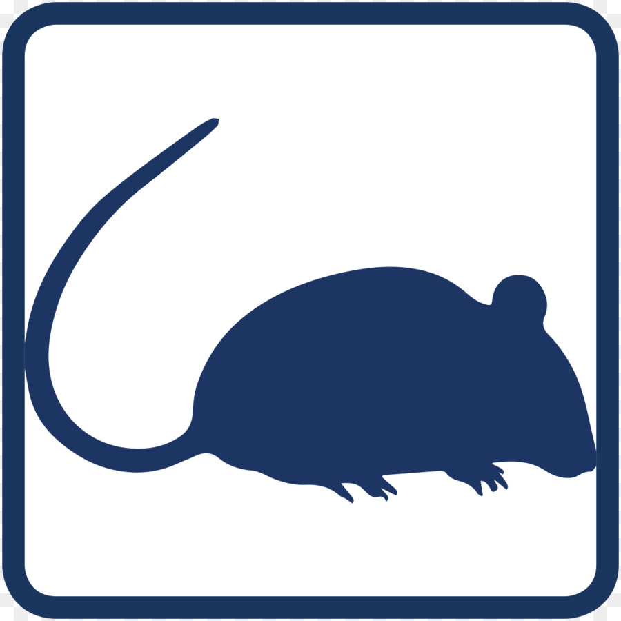 Maus Nagetier Schwarzen Ratte clipart - Maus Tier